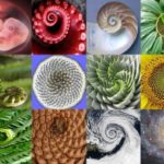 Il discernimento Essenziale